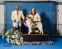 Elkhound 2020-1183