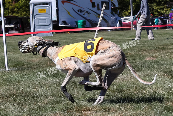 Prg 3, Race 3, Flynn Warrior Clyps Rigby Echo Arrow-9620