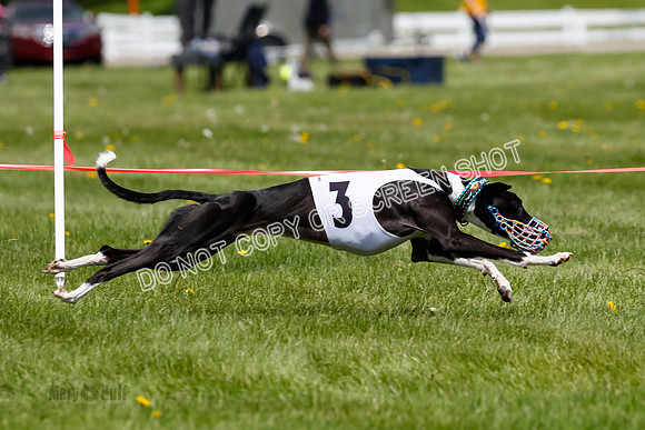 NOTRA Program 3, Race 7, Sparks Jubilee Tahoe Mika-2-18