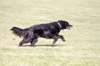 IMG_0115