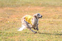 1 Prelims Open Spiff Ripley-0516