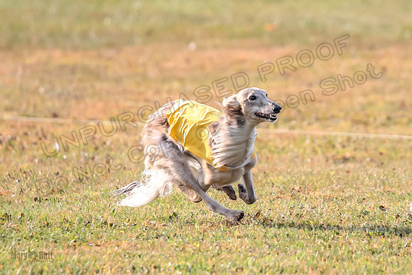 1 Prelims Open Spiff Ripley-0516