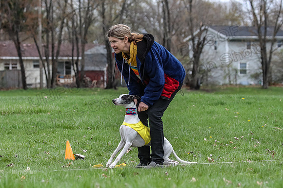 Finals Whippet Specials-4716