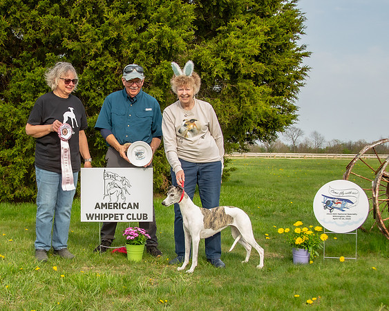 MCH53968