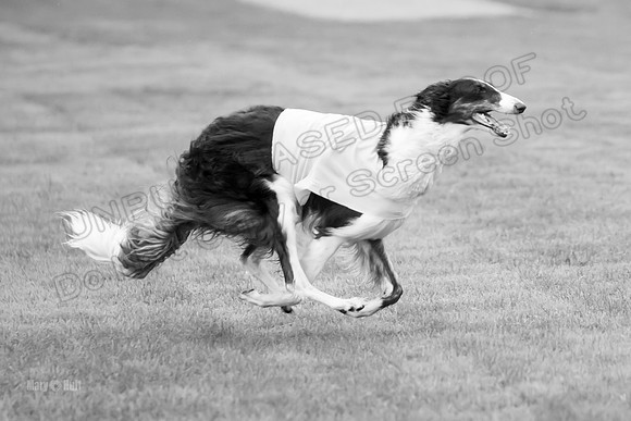 Open Prelim 2, Masquerade Freebie-0559-2