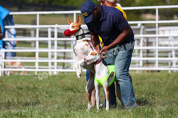 Open Prelim B2, Latte, Wizard-7834