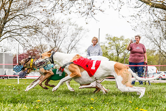 WRA, Prg 3, Race 2, Dash, Buzzsaw Elvis Mika Moonstruck-9131