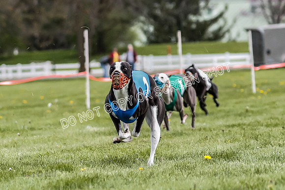 WRA, Prg 1, Race 10, Jamie Pico Nami Elia CC Savvy-8421
