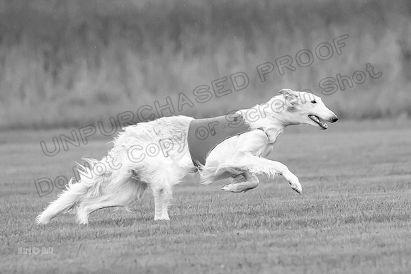 Open Prelim Bluegene Rhett Zen-0486-2