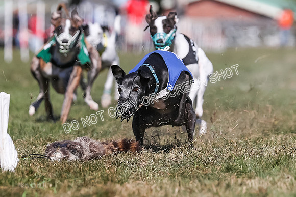 Prg 4, Race 2, Red Tipa Watson Sprig Carney-0093