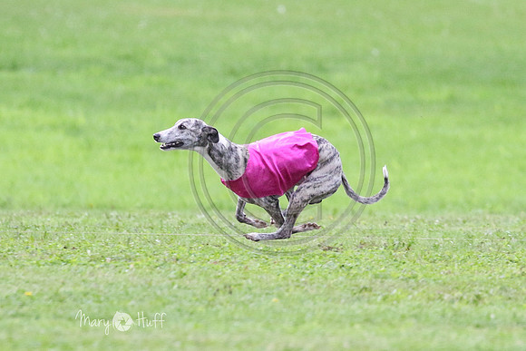 MCH79224