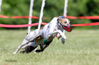 AE4I5631