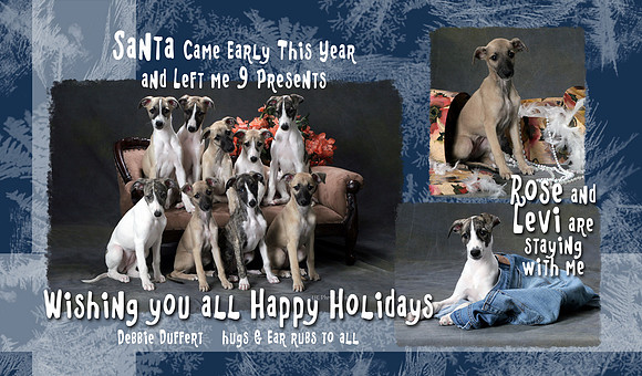 Duffert 2011 Christmas Card