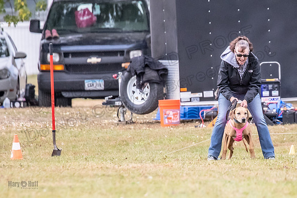 Finals Vet Libby Xena-2481
