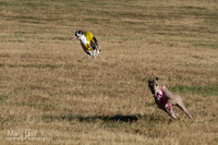 IMG_4356