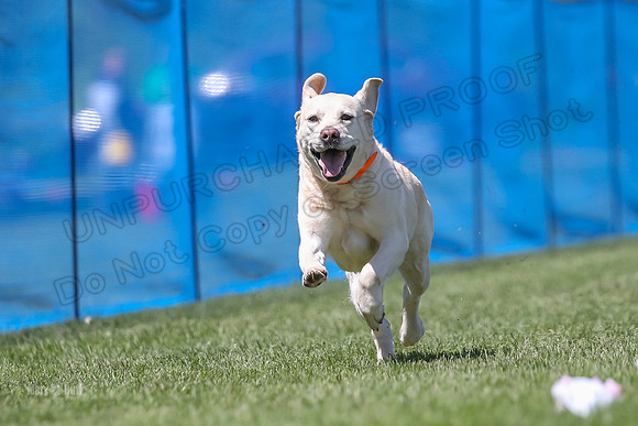 AE4I6829