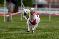 WRA, Prg 1, Race 2, Dash, Reas Mika Buzzsaw Moonstruck Elvis-8259