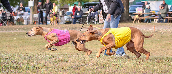 1 Prelims Vet Libby Xena-0390