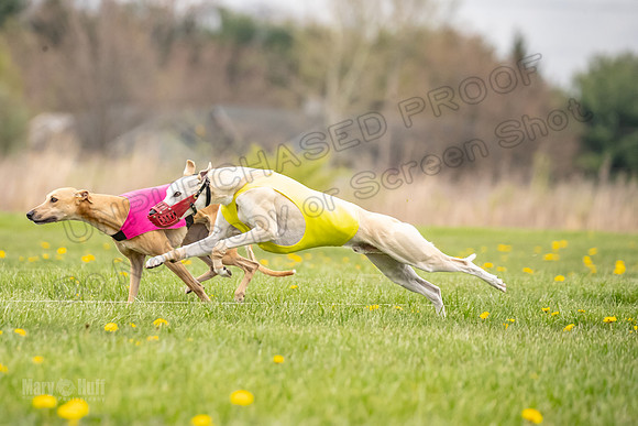 Finals Fch A2 Zinger Rush-9139