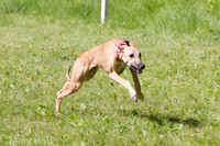 IMG_5054
