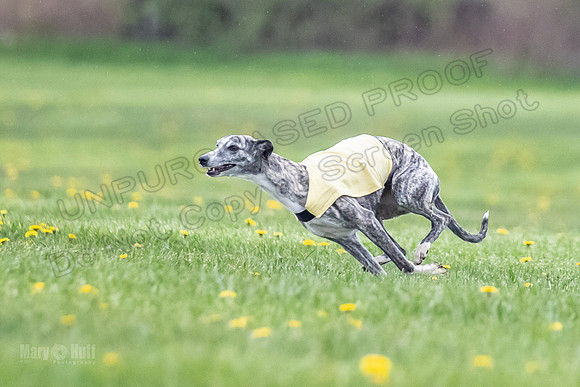 Finals Fch A1 Whisper Treble JesseJames-9066