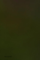 Cat Test 1-0147