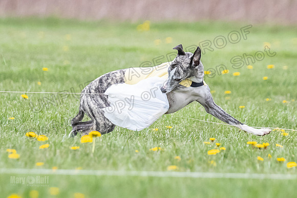 Finals Fch A1 Whisper Treble JesseJames-9087