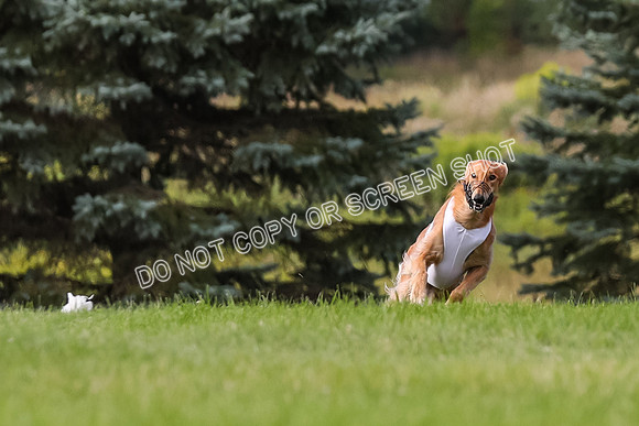 Sunday-3113