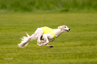 Prelim Open Silken-0389
