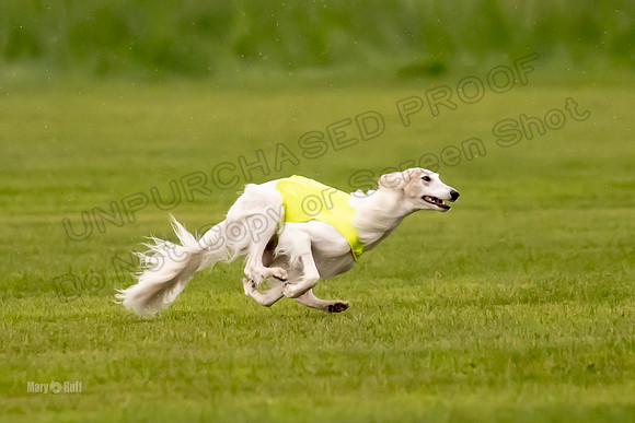 Prelim Open Silken-0389