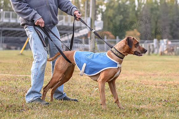 1 Prelims Fch 1 Ace Dakota Remmy-0308