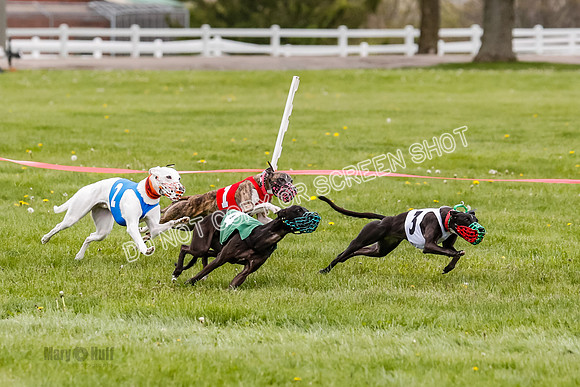 NOTRA Program 4, Race 1, Warrior Barley Flair Victor-2-17