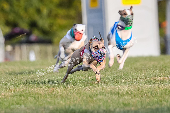 Prg 1, race 2, Spud Gnocchi Rigby-0584