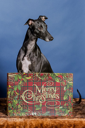 xmas Kristy-429-Edit