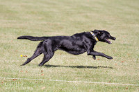 IMG_0023