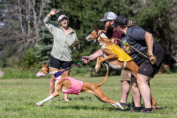 Prelims Fch 2 Pennie Beastie-5519