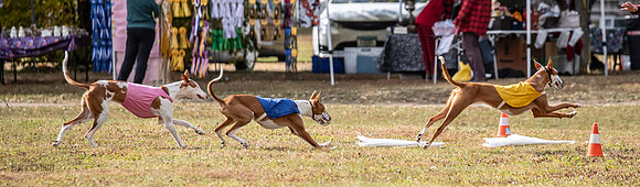 Finals Fch 1 Penny Jadis Madyson-3131