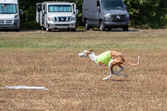 Finals Veteran 1 Jesse Bettie-1526