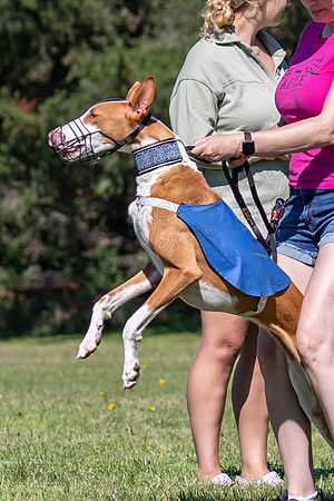 Prelims Fch 1 Ginny Willow Madyson-5407
