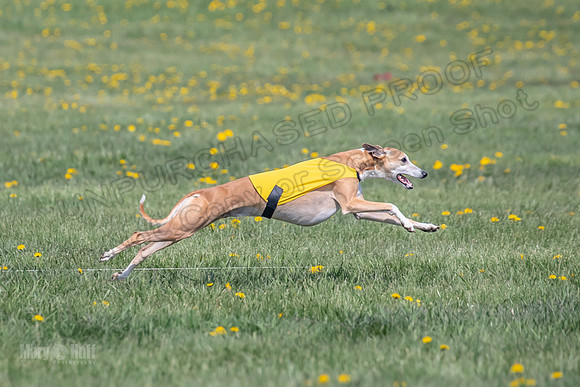 1Prelims Specials B6 Mantle PeteySue Echo-1596