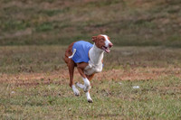 1 Prelims Fch 2 Jadis Beastie Ginny-0784
