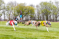 WRA, Prg 4, Race 1, Dash, Elvis Mika Buzzsaw Moonstruck-9278