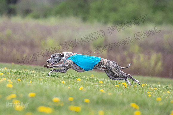 Finals Fch B1 Elan Arlo Arrow-9394