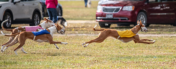 Finals Fch 1 Penny Jadis Madyson-3125