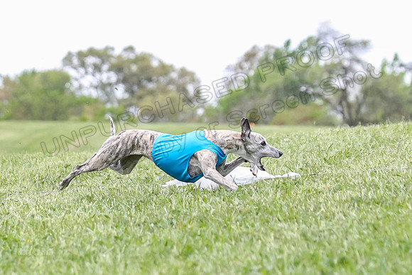 Finals Vets 5, RickyBobby Blue Jewel-2440