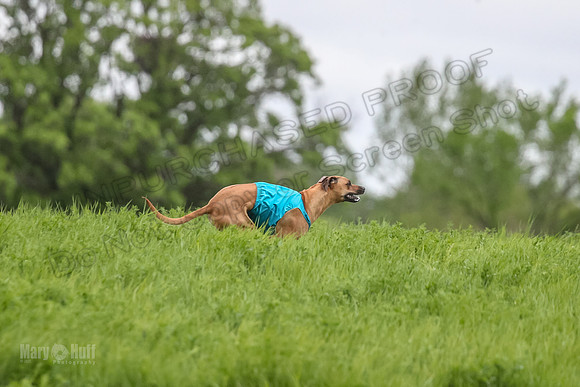 1 Prelims Fch Islay Eve Opal-8358