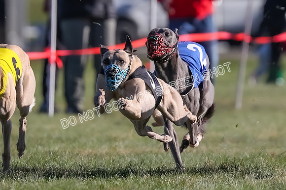 Prg 1, Race 18, Hillary Axl Chase Joplin Rum-9274