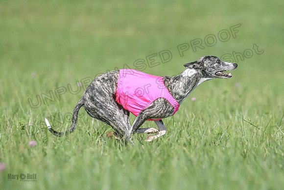 1 Prelims Fch B2 Cooper Prim Treble-9757