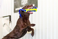 Air Retrieve, Sunday