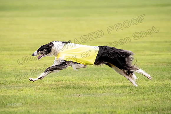 Open Prelim 2, Masquerade Freebie-0542
